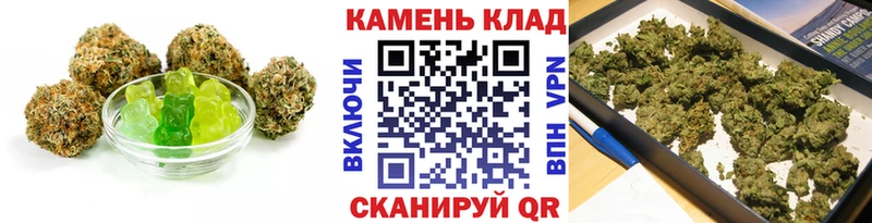 Купить закладки  Кимовск  Canna-Cookies конопля 