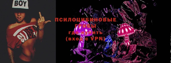ешки Вязьма