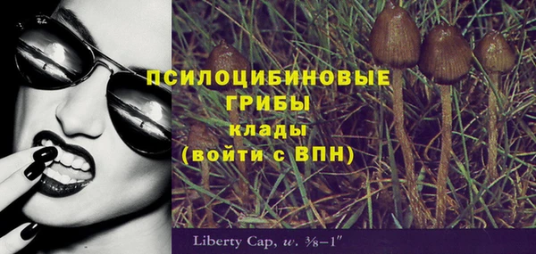 a pvp Вязники