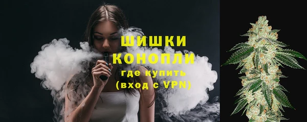 ешки Вязьма