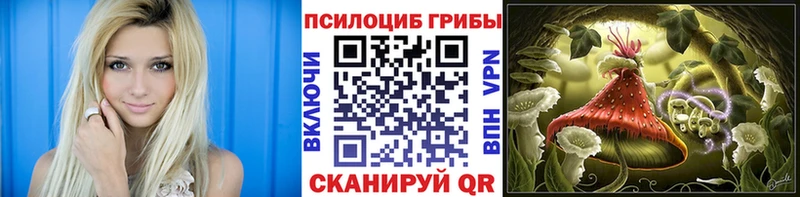 Псилоцибиновые грибы мухоморы  Купить закладки  Кимовск 